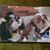 Jodi Lomax's profile image