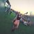 Giovanna Crescini's profile image