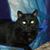 Doris Henderson's profile image