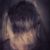 Brian Holt's profile image