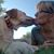 Liza Shields's profile image