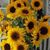 Barbara Ann Christe's profile image