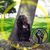 Yaleah Yisrael's profile image