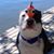 Louie Hamilton's profile image