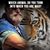 Donny Daugherty's profile image