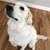 Bernadette Thurston's profile image