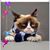 Kimberly Heckler Dunnigan's profile image