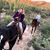 Barbara Bailor's profile image