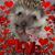 Marika Joanna Stone's profile image