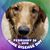 Tammy Aaron's profile image