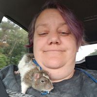 Kathryn Schottl's profile image