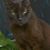 Richard O'Connor's profile image