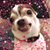 Donna Pronk's profile image