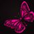 Rebecca Ruth Carrico-Shockley's profile image