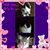 Liz Pearl's profile image