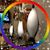 Todd Diehl's profile image