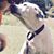 Keith Cookson's profile image