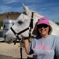 Michelle Lambros's profile image