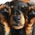 Fran Cis Sar's profile image