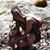 Lindsey Gagne's profile image