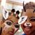 Sherry Dellinger's profile image