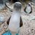 Cynthia Potts's profile image