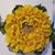 Andrea Eilbacher Reider's profile image