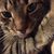 Christina Rossman's profile image