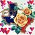 Dora Albert's profile image