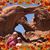 Mary Gavlik's profile image