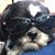 Margarita Nunez Lizama's profile image