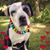 Tracey Thompson's profile image