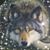 Valorie Wolcott Mendelson's profile image