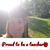Marianne Sletteland's profile image