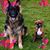 Ann DeLuca Walker's profile image