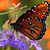 Marilyn Pollick's profile image