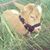 Dionna Rubens-Guider's profile image