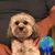 Bertha Diaz's profile image
