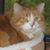 Denise Gamelin Methot's profile image