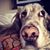 Kathryn G. Juneau's profile image