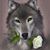 Beth Gilbert's profile image