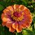 Deborah Justice's profile image