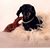 Pretzel Dingus's profile image