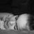 Pete Gilbride's profile image