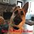 Kelly Wade's profile image