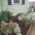 Judy Brochetti's profile image