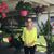 Cathy Bahnick's profile image