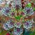 Jimelle Wood Gardo's profile image