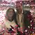 Debbie Cohen Smith's profile image