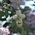 Lisa Hagerman's profile image